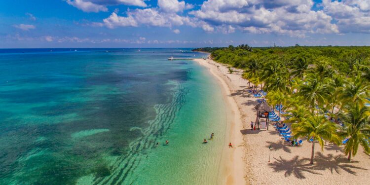 Cozumel sargazo