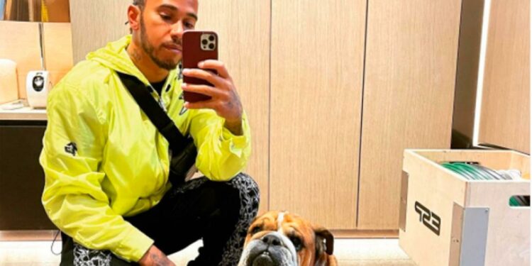 Hamilton podría ir a la cárcel por volver vegano a su perro