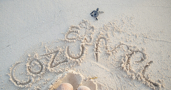 Cozumel: una identidad sustentable