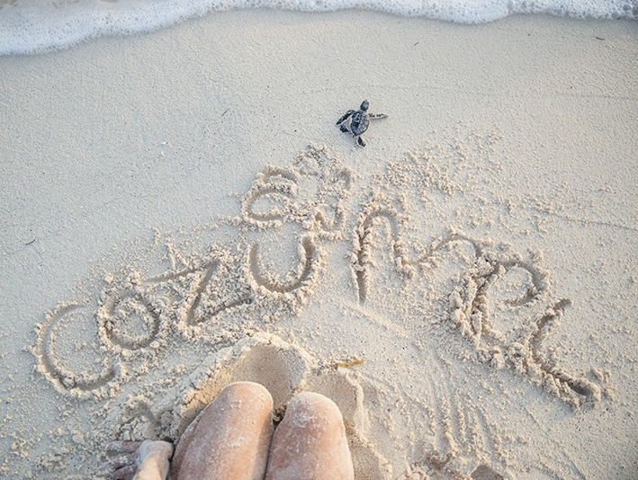 Cozumel: una identidad sustentable