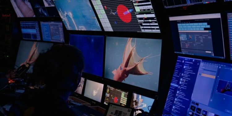 Invita UABCS a recorrido virtual por crucero de investigación interdisciplinario