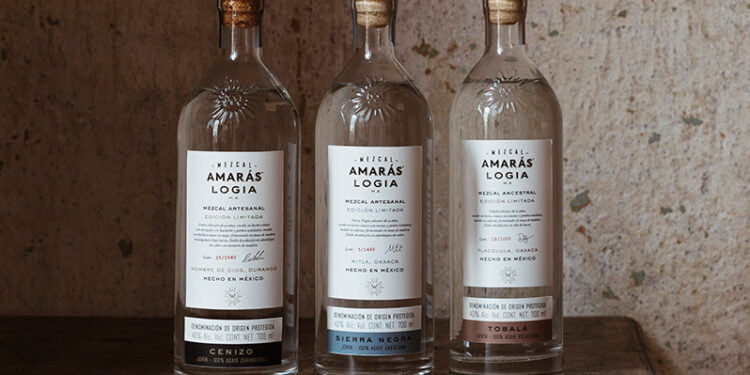 LOGIA: El secreto mejor guardado de Mezcal Amarás