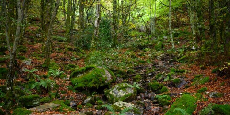 La provincia de León, elegida como destino para una campaña de podcast de viajes este otoño