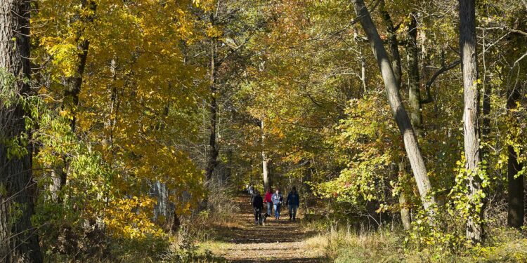 Los 12 mejores lugares de Nueva Jersey para ver el follaje de otoño