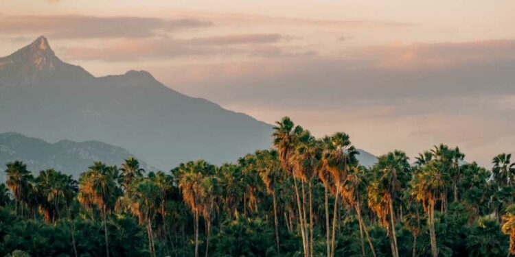 Los Cabos, un destino paradisiaco