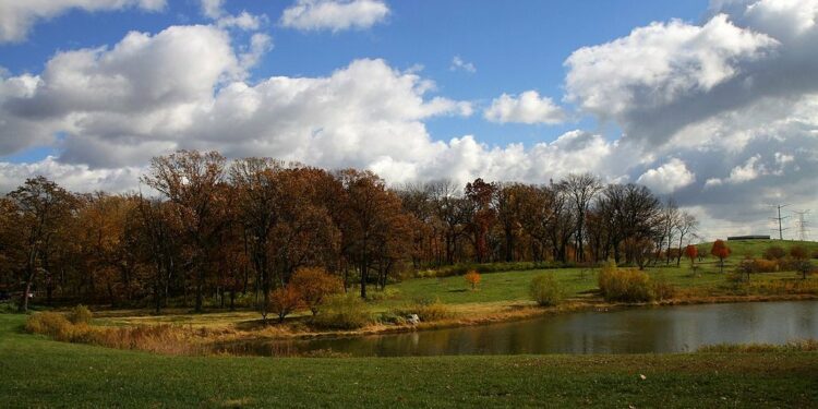 Mejores pasadías y lugares en Illinois para apreciar el otoño – Telemundo Chicago
