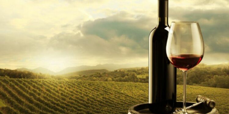 Mendoza será sede de una importante reunión internacional en 2022