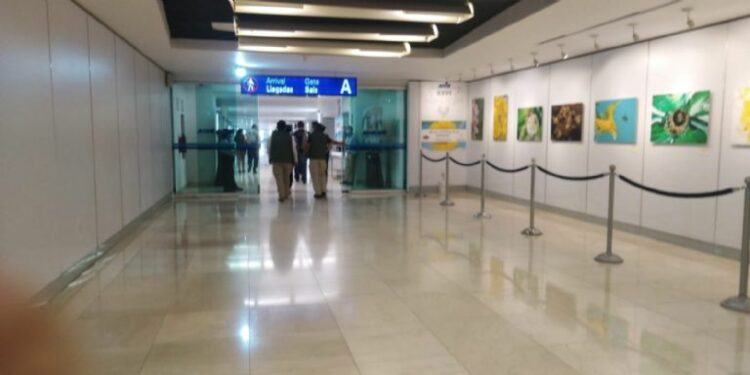 Migración detiene a 20 nicaragüenses ilegales en el aeropuerto de Mérida