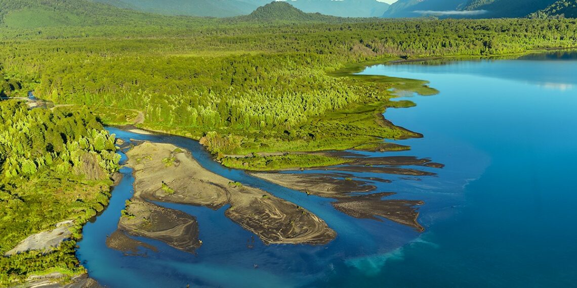 El Heraldo Austral