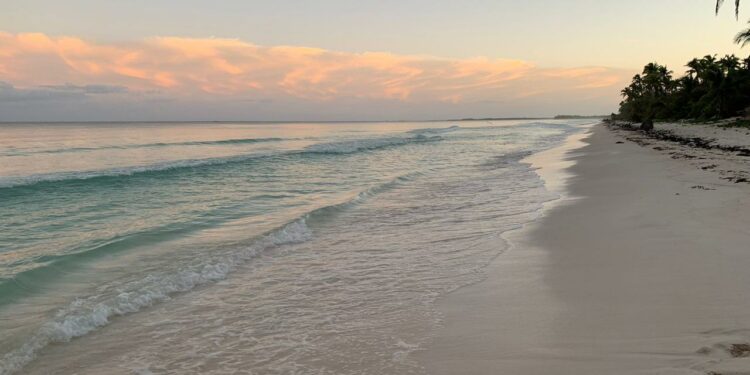 Playas de Tulum lucen su mejor rostro en tres años