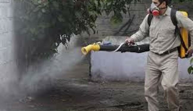 Realizan bloqueos de casos sospechosos de dengue