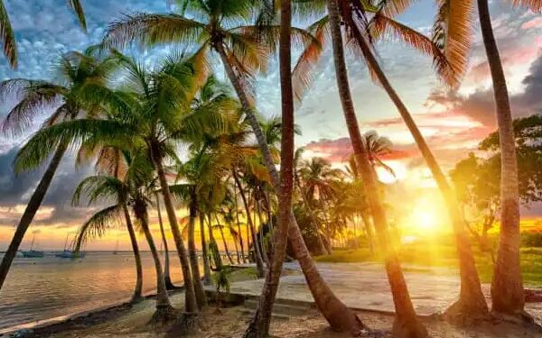 Seabourn amplía promoción Early Bonus Savings