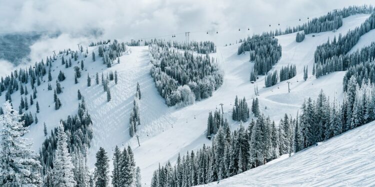 Shopping, nieve y playas: destinos turísticos de invierno en EEUU