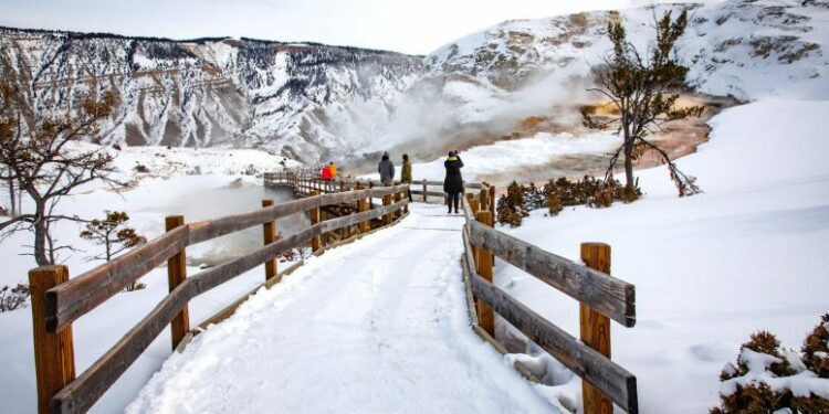 Socio de Lindblad Expeditions agrega salidas invernales a Yellowstone