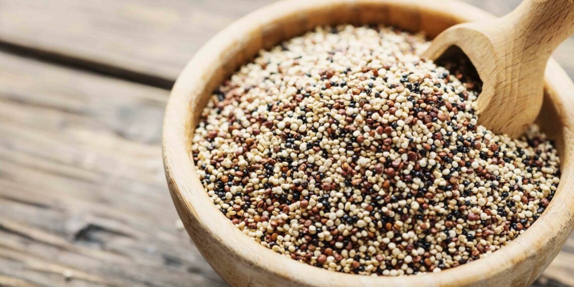 Quinua. Foto: Cortesía.