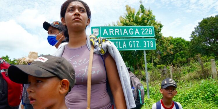 Título 42 explicado: Oscura política de salud pública en el centro de una lucha fronteriza de EUA