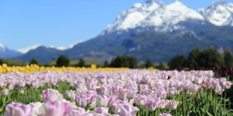 Tres pueblos argentinos compiten para ser distinguidos los mejores del mundo