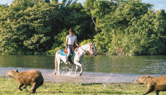 ¿Cómo participar en los Premios Nacionales de Turismo?