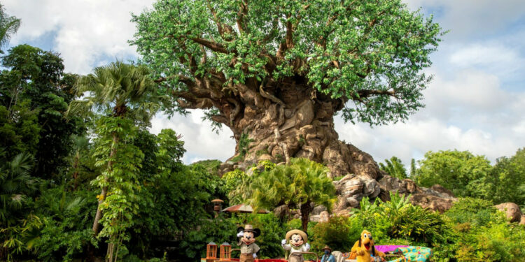 Imagen nota de prensa Hosteltur