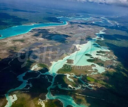 Consejo Mundial de Viajes y Turismo se suma al combate del cambio climático