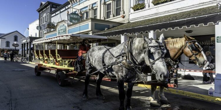 Autos eléctricos sustituyen a los carruajes en la turística Petra en Jordania | MUNDO
