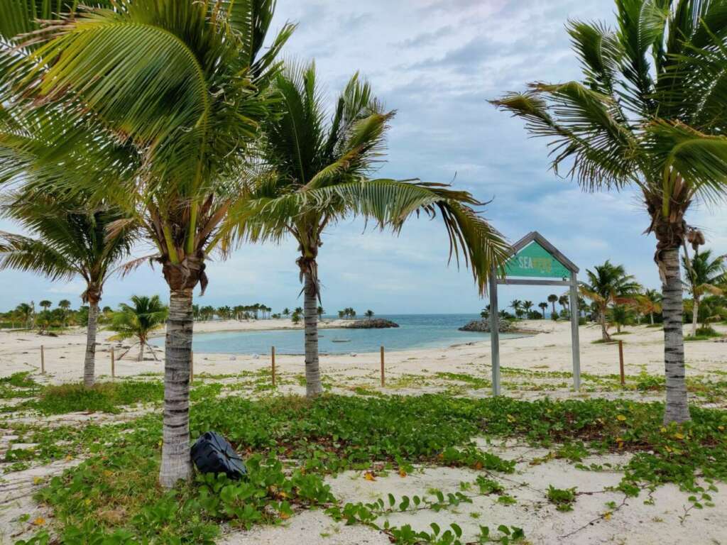 Aguas turquesas y playas vírgenes, una suave brisa que ondula las palmeras y un sol perezoso que acaricia la piel, cócteles exóticos y foodtrucks con comida bahameña, champagne y ostras, snorkel entre corales y fiestas descalzos al anochecer. En algún lugar de Islas Bimini, refugio de Ernest Hemingway y posible hogar de la ciudad perdida de la Atlántida, encontramos un diminuto paraíso con el nombre de Ocean Cay.