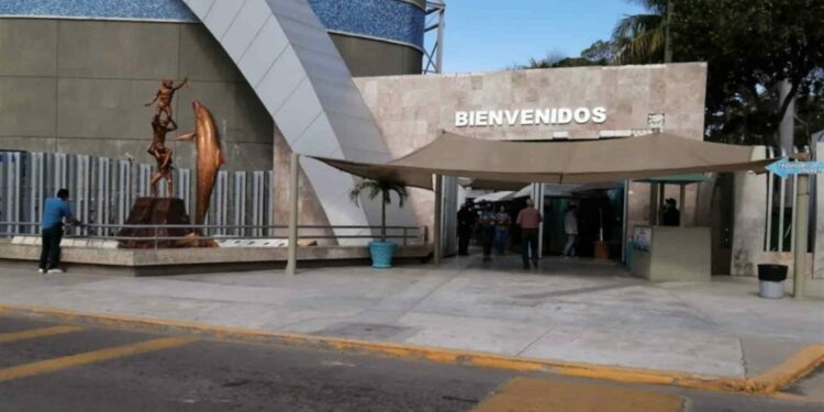 FOTO: Luz Noticias.