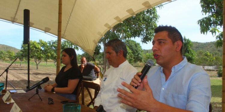 Anuncian VII Edición de Sabor a Cabo Rural en SJC