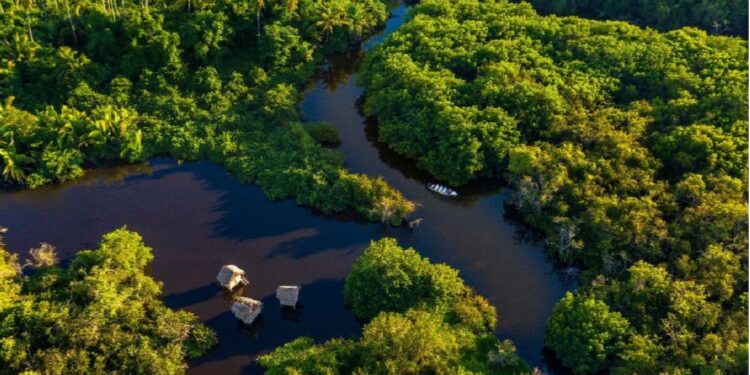 Aviturismo para acabar con el estrés en Riviera Nayarit