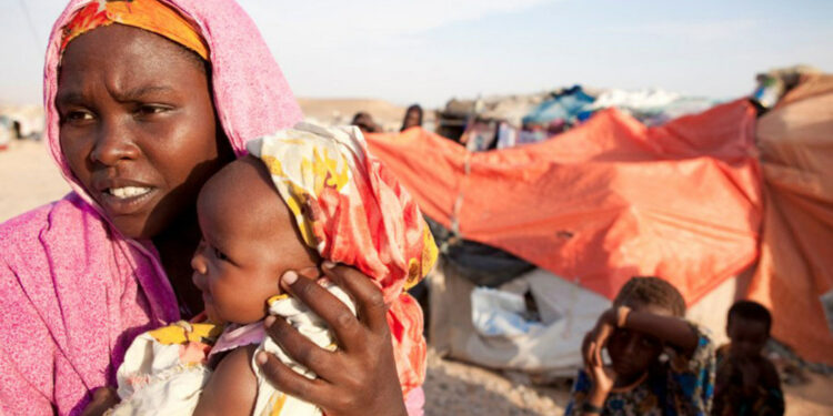 Las sequías cada vez más agudas en Somalia han provocado el desplazamiento de la población, lo que ha socavado la seguridad alimentaria y ha dejado a las mujeres expuestas a la explotación sexual.
