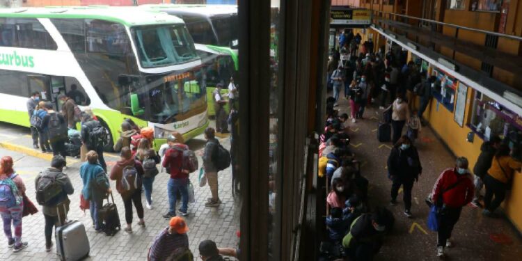 Pase de movilidad