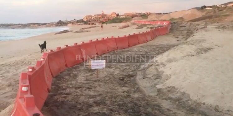 Clausurada la obra que cometió ecocidio contra zona de anidación de tortugas
