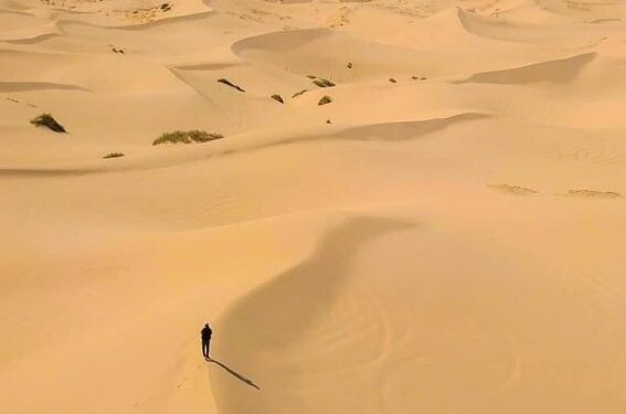 Conoce Las Dunas De Samalayuca El Escenario Donde Filmaron Dune Dimension Turistica Magazine 5703