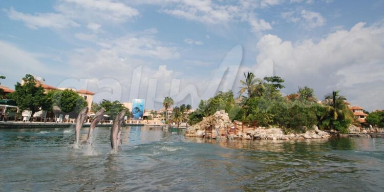 Consorcio quintanarroense recibe reconocimiento internacional al mejor parque acuático de México