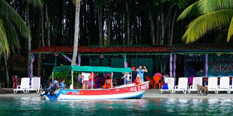 Cruceros y fiestas patrias marcan reactivación
