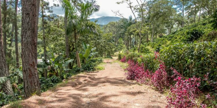 De la montaña al mar – Diario Social RD
