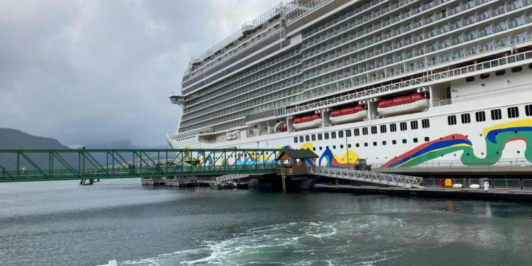 EE.UU. reporta más de 1.350 casos de la covid-19 en cruceros en cuatro meses