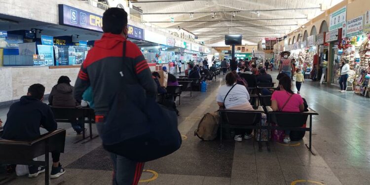 Empresas de transporte ya piden carnet de vacunación | EDICION