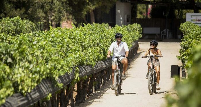 Enoturismo: turismo de viñas crece ante el interés de conocer más del vino