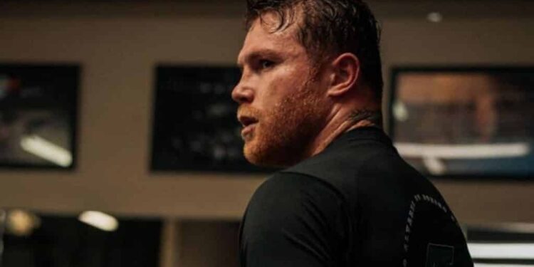 Frank Sánchez opinó de Canelo