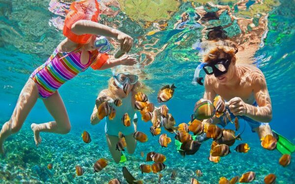 Holland America Line lanza oferta de crucero gratis para niños