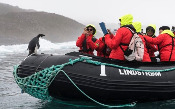 Hurtigruten Expeditions incluye a Chile y la Antártida en ofertas de Black Friday