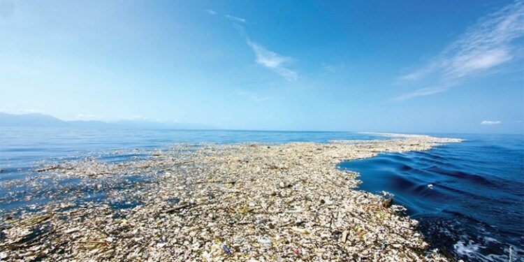 Informe OMI examina transporte marítimo y cruceros como fuentes de basura marina