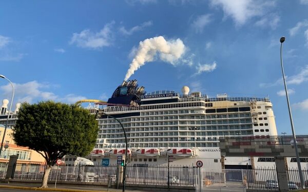 261124801 4449163025209075 7692891699475508342 n