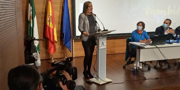 La accesibilidad como reto inminente del sector turístico