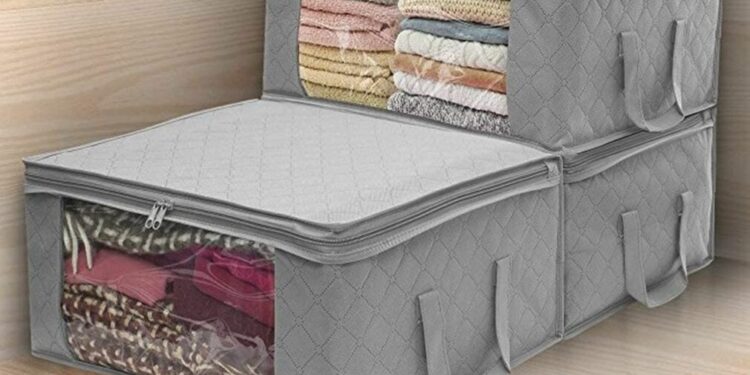 Las 8 mejores bolsas de almacenamiento de ropa