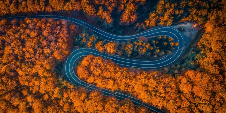 Transfagarasan, Ruman