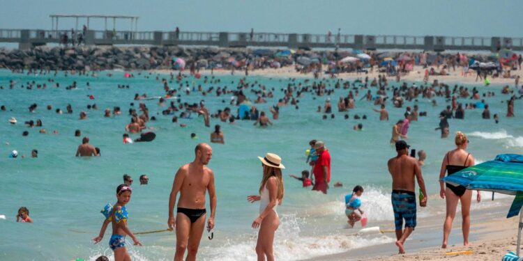 Los precios en Miami: sin pagar en cuotas, cuánto les costará a los argentinos pasar dos semanas en la Florida
