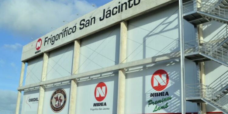 NH Foods está cerca de adquirir al frigorífico uruguayo Nirea por US$60M | AméricaEconomía