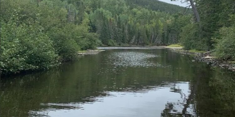 New Brunswick Trail está en la lista de National Geographic de los mejores destinos de aventuras del mundo